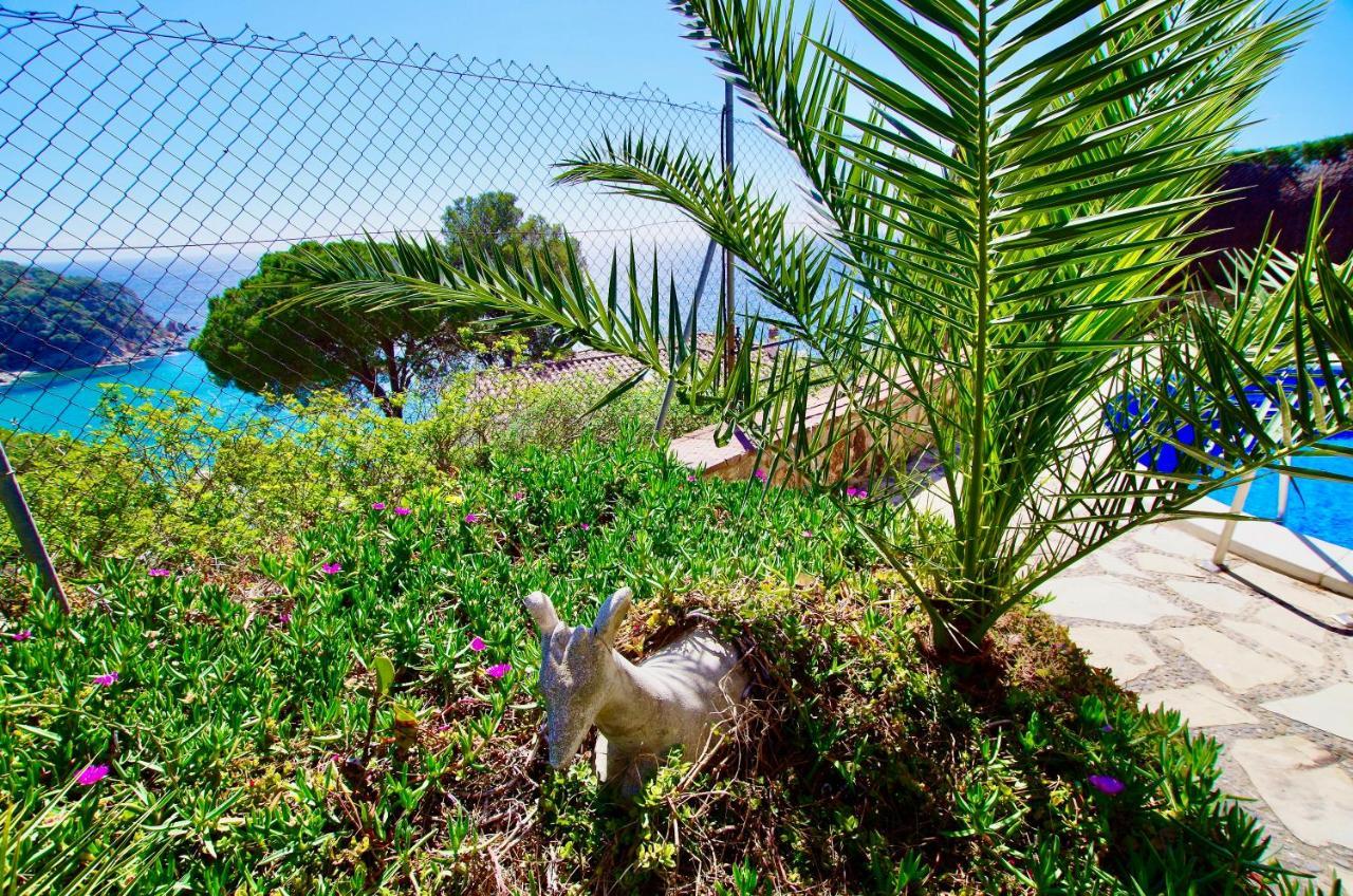 V&V Lloret- Villa Mediterrania, Vistas Panoramicas Al Mar โยเรตเดมาร์ ภายนอก รูปภาพ