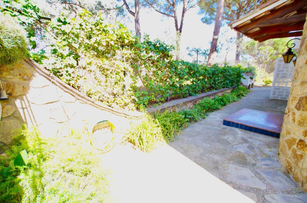 V&V Lloret- Villa Mediterrania, Vistas Panoramicas Al Mar โยเรตเดมาร์ ภายนอก รูปภาพ